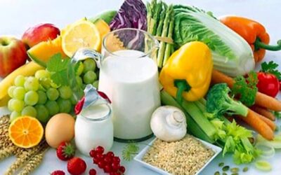 Dieta latto-ovo vegetariana per uomini e donne